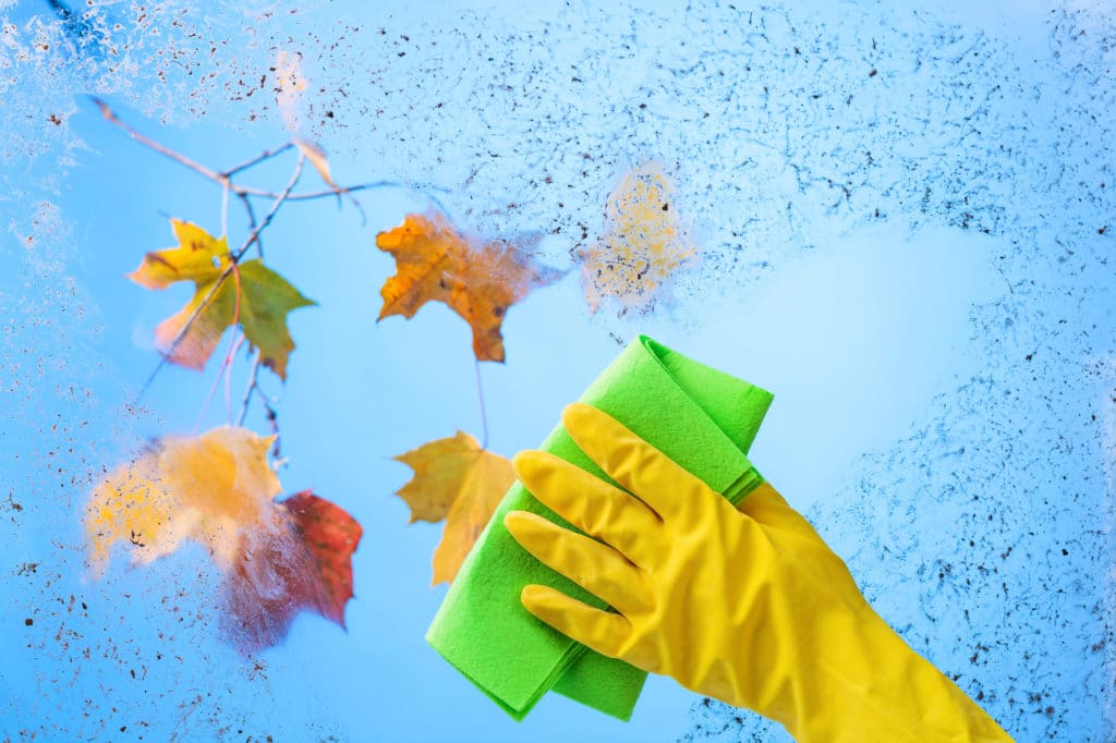 Hand in yellow rubber glove with napkin. Blue sky and colorful maple leaves on a branch behind dirty glass. Conceptual image on the theme of cleanliness and hygiene.